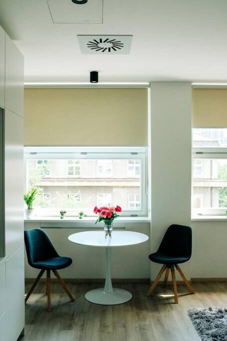 New Studio In Quiet Part Of The City Center براتسيلافا المظهر الخارجي الصورة