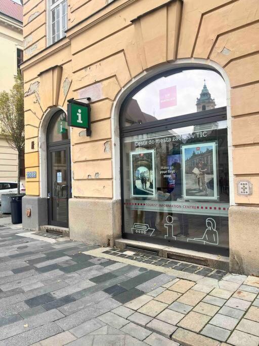 New Studio In Quiet Part Of The City Center براتسيلافا المظهر الخارجي الصورة